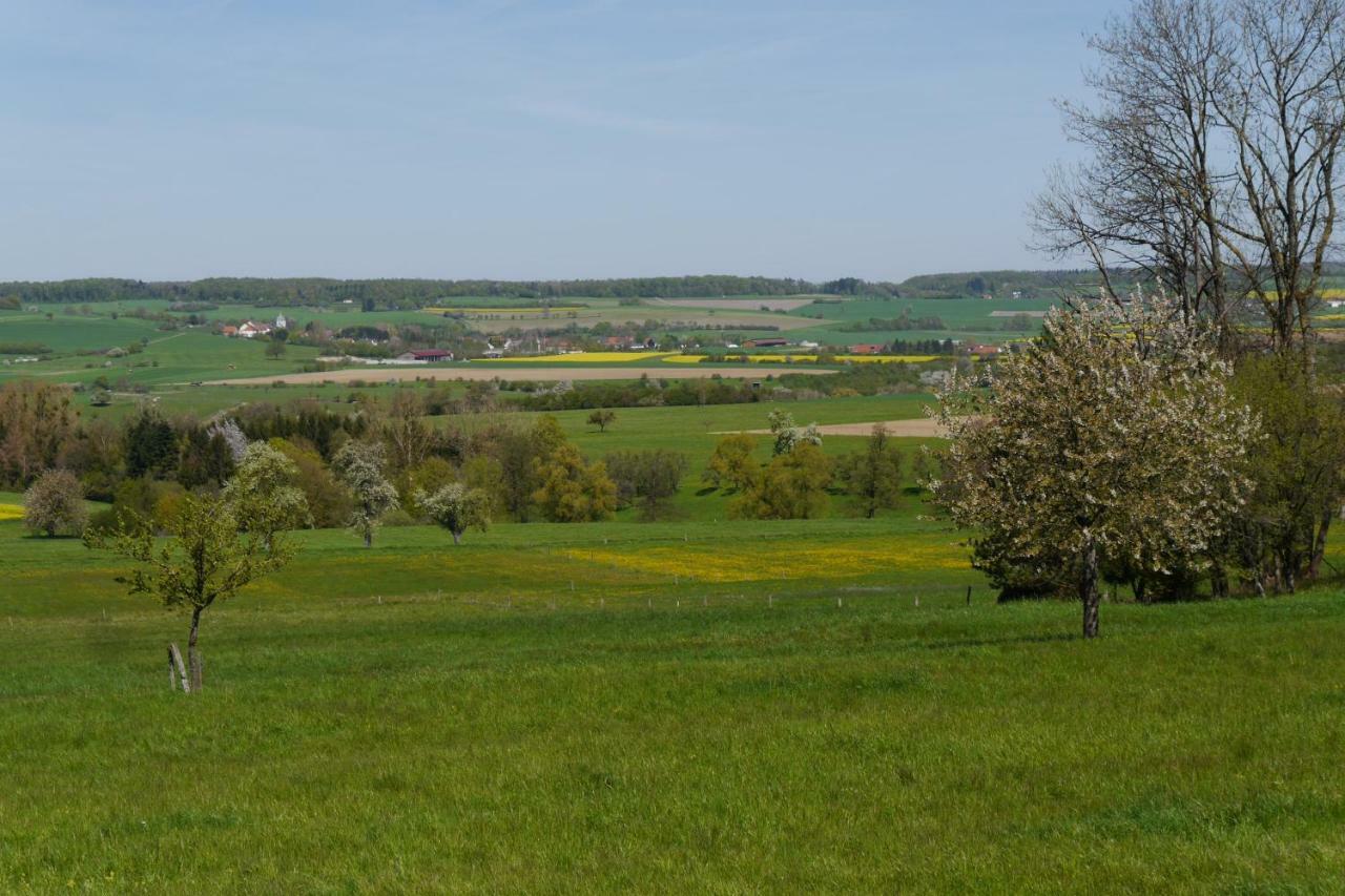 Apartament Eulennest, Haus Vogelgesang Gersheim Zewnętrze zdjęcie